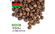 コーヒー豆 #298 マラウィ ミスク組合 AB PLUS 受注焙煎！310g 珈琲豆  自家焙煎