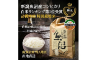 令和6年度産 新潟県南魚沼産コシヒカリ 特別栽培米 白米 4kg