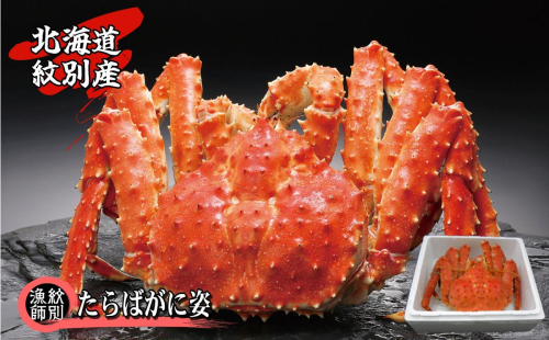 90-8 たらばがに姿(2.0kg~2.4kg) 156869 - 北海道紋別市