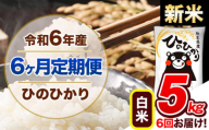 【6ヶ月定期便】令和6年産 新米 定期便 ひのひかり 5kg 《申込み翌月から発送》令和6年産 熊本県産 ふるさと納税 白米 精米 ひの 米 こめ ふるさとのうぜい ヒノヒカリ コメ 熊本米 ひのもり