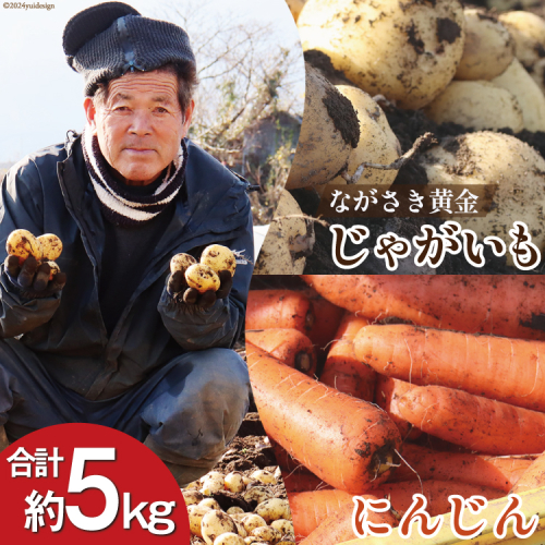 AI118 じゃがいも ＆ 人参 セット ( ながさき黄金＆冬人参 ) 約 5kg [ 野菜 野菜セット 詰め合わせ ジャガイモ にんじん ニンジン 5kg 5キロ 黄金 贅沢宝庫 長崎県 島原市 ] 1568929 - 長崎県島原市