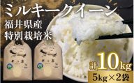 【先行予約】特別栽培米福井県産ミルキークイーン 5kg×2袋 計10kg【2024年12月より順次発送】