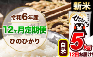 【12ヶ月定期便】令和6年産 新米 定期便 ひのひかり 5kg 《申込み翌月から発送》令和6年産 熊本県産 ふるさと納税 白米 精米 ひの 米 こめ ふるさとのうぜい ヒノヒカリ コメ 熊本米 ひのもり