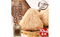 【令和7年10月以降発送新米】MS-107　大山町産こしひかり【大山の一粒】10ｋｇ（玄米）