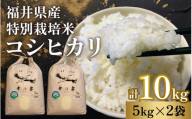 【先行予約】特別栽培米福井県産コシヒカリ 5kg×2袋 計10kg【2024年12月より順次発送】