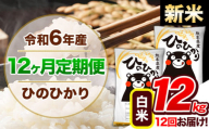 【12ヶ月定期便】令和6年産 新米 定期便 ひのひかり 12kg 《申込み翌月から発送》令和6年産 熊本県産 ふるさと納税 白米 精米 ひの 米 こめ ふるさとのうぜい ヒノヒカリ コメ 熊本米 ひのもり