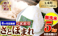 【6ヶ月定期便】熊本県産 さとほまれ 無洗米 ご家庭用 定期便 5kg 《申込み翌月から発送》熊本県 玉名郡 玉東町 米 こめ コメ ブレンド米 送料無料