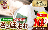 【12ヶ月定期便】熊本県産 さとほまれ 無洗米 ご家庭用 定期便 10kg 《申込み翌月から発送》熊本県 玉名郡 玉東町 米 こめ コメ ブレンド米 送料無料