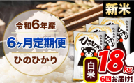 【6ヶ月定期便】令和6年産 新米 定期便 ひのひかり 18kg 《申込み翌月から発送》令和6年産 熊本県産 ふるさと納税 白米 精米 ひの 米 こめ ふるさとのうぜい ヒノヒカリ コメ 熊本米 ひのもり