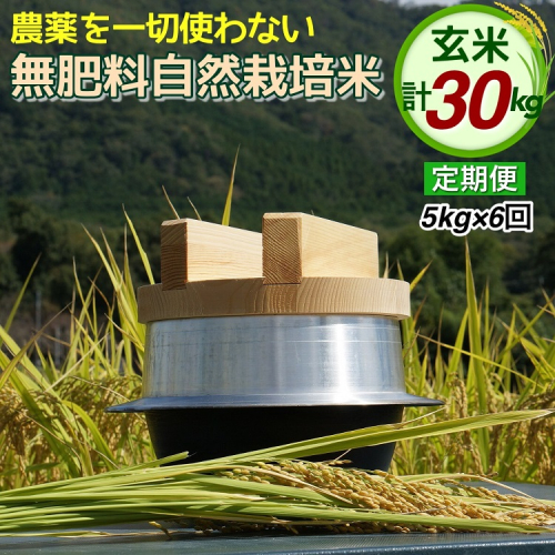 米 定期便 令和6年産 自然栽培米 にこまる ＜農薬を一切使わない無肥料栽培＞ 玄米 5kg×6ヶ月 30kg 《新米 京都丹波産 無農薬米栽培向き 厳選品種 6回お届け》 156942 - 京都府亀岡市