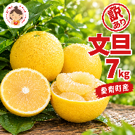 先行予約 訳あり 文旦 7kg （Mサイズ以上 サイズミックス） 7000円 ぶんたん みかん mikan 蜜柑 ミカン 家庭用 産地直送 国産 農家直送 減農薬 糖度 期間限定 数量限定 特産品 ゼリー ジュース アイス 人気 限定 甘い 果実 果肉 フルーツ 果物 柑橘 先行 事前 予約 受付 ビタミン 健康 美味しい おいしい ジューシー サイズ ミックス あいなんマザーズ 愛南町 愛媛県