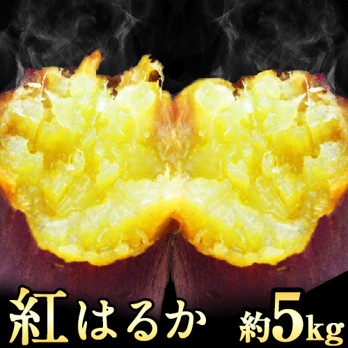 紅はるか 約5kg 《30日以内に出荷予定(土日祝除く)》 熊本県御船町 秋 旬 野菜 有限会社ニシムラ 156972 - 熊本県御船町