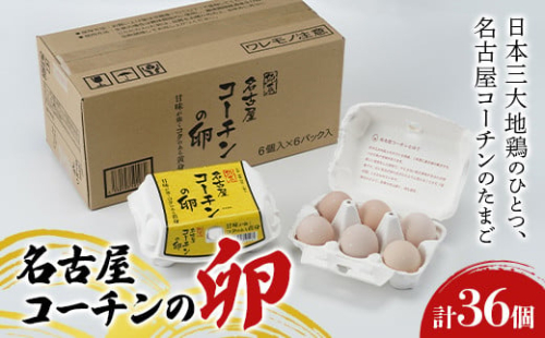 名古屋コーチンの卵 36個 卵 生卵 名古屋コーチン 桜吹雪 新鮮 石井養鶏場  F23R-878