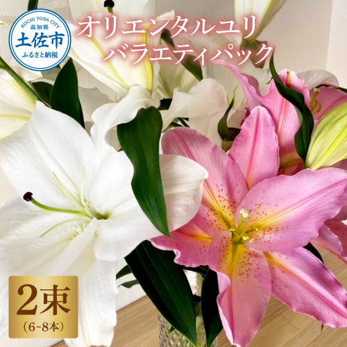 オリエンタルユリ バラエティパック 2束(1束3～4本 15輪以上) 花 はな 花束 生花 ゆり ユリ 百合 蕾 つぼみ 鑑賞 鑑賞用 白 大きく 咲く 大きい 詰め合わせ プレゼント 贈り物 国産 1570020 - 高知県土佐市
