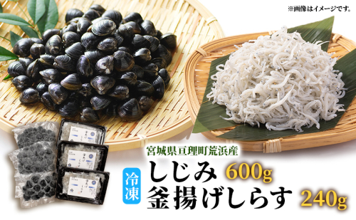 魚介 宮城県荒浜産 冷凍しじみ 600g 砂抜き済・冷凍釜揚げしらす 240g セット しじみ しらす あらはま海苔 1570091 - 宮城県亘理町