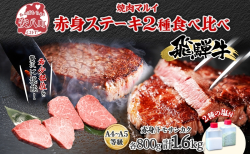 飛騨牛 ステーキ 2種 食べ比べ 赤身 トモサンカク 計約1.6kg 各800g 肉 牛肉 和牛 ブランド牛 お肉 ビーフ A4ランク A5ランク 国産 お取り寄せ ご褒美 豪華 グルメ 焼肉 BBQ ギフト 贈り物 自家用 贈答用 送料無料 焼肉マルイ 岐阜県 安八町 1570393 - 岐阜県安八町