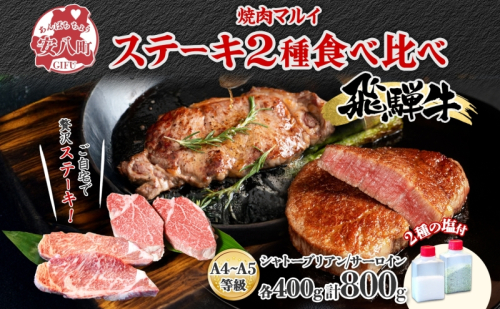 飛騨牛 ステーキ 2種 食べ比べ 計約800g シャトーブリアン サーロイン 各約400g 肉 牛肉 和牛 ブランド牛 お肉 ビーフ A4ランク A5ランク 国産 お取り寄せ ご褒美 豪華 グルメ 焼肉 BBQ 人気 贈り物 自家用 贈答用 送料無料 焼肉マルイ 岐阜県 安八町 1570394 - 岐阜県安八町