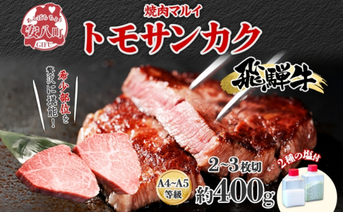 飛騨牛 トモサンカク ステーキ 約400g 2～3枚切り 肉 牛肉 和牛 ブランド牛 お肉 ビーフ A4ランク A5ランク 国産 お取り寄せ ご褒美 豪華 グルメ 焼肉 BBQ パーティー ギフト 人気 贈り物 自家用 贈答用 御礼 プレゼント 送料無料 焼肉マルイ 岐阜県 安八町 1570396 - 岐阜県安八町