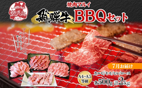 ＜7月に届く＞飛騨牛 BBQ セット 約2kg カルビ 焼肉 モモ ヒレ ロース串 各約500g お肉 牛肉 和牛 国産 ブランド牛 バーべキュー お家焼肉 赤身 冷蔵 真空パック タレ付き 送料無料 焼肉マルイ 岐阜県 安八町 1570400 - 岐阜県安八町