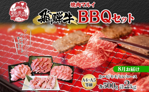 ＜8月に届く＞飛騨牛 BBQ セット 約2kg カルビ 焼肉 モモ ヒレ ロース串 各約500g お肉 牛肉 和牛 国産 ブランド牛 バーべキュー お家焼肉 赤身 冷蔵 真空パック タレ付き 送料無料 焼肉マルイ 岐阜県 安八町 1570401 - 岐阜県安八町