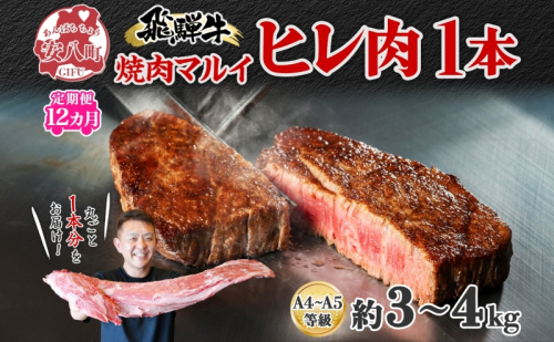 定期便 12ヶ月 飛騨牛 ヒレ肉 1本 A4～A5等級 約3～4kg  3割×6  ヒレ シャトーブリアン 肉 牛肉 ブランド牛 お肉 和牛 贅沢 お取り寄せ ご褒美 ステーキ 豪華 グルメ 焼肉 BBQ ギフト 贈り物 自家用 贈答用 送料無料 焼肉マルイ 岐阜県 安八町 1570408 - 岐阜県安八町