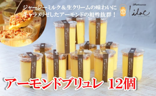 ジャージーミルクたっぷり アーモンドブリュレ12個 ジャージー牧場 らいらっく 自家牧場 ジャージー牛 牛乳 ミルク アーモンド ブリュレ アイス プリン 無添加 手作り 濃厚  冷凍  AS2BI7 1570472 - 兵庫県朝来市