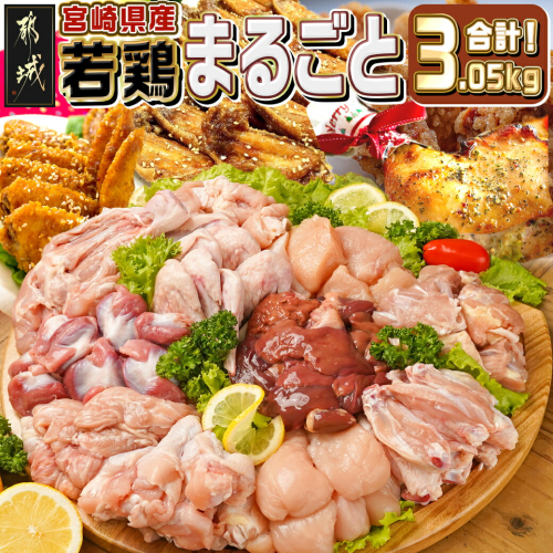 宮崎県産若鶏まるごと3.05kgセット_14-M601 1570532 - 宮崎県都城市