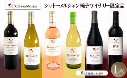シャトーメルシャン椀子ワイナリーのワイナリー限定品をお楽しみいただける、毎月届く6か月定期便です。 厳選されたワインが、特別な体験を提供します。 各月ごとに異なるワインをお届けし、ワイナリーの魅力を存