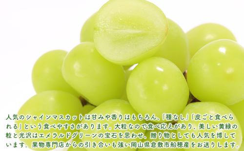 【2025年先行予約】 ぶどう 岡山県産 シャインマスカット 晴王 厳選 1房 約700g 大房 岡山県 倉敷市 船穂産 《2025年9月上旬-10月上旬頃出荷》 葡萄 ブドウ フルーツ 果物 数量限定 期間限定 里庄町