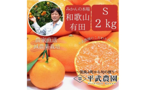 完熟有田みかん 約2kg Sサイズ 秀品 平武農園 農家直送 蛍飛ぶ町から旬の便り 1573609 - 和歌山県有田川町