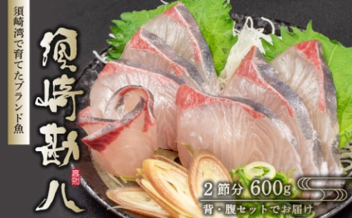 須崎勘八 600g 勘八 環八 カンパチ かんぱち ブランド 魚 鮮魚 冷凍 海鮮 刺身 さしみ 焼き魚 料理 簡単調理 背 腹 下処理有 高知県 須崎市 NS029