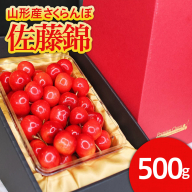 旬大粒★山形産 特秀品 2Lサイズ 500g ゴールドバラ斜め 化粧箱詰 [令和8年産先行予約]FS25-541
