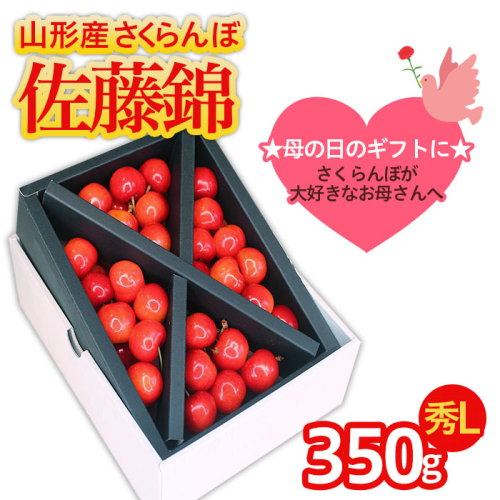 ★母の日★山形産 さくらんぼ 佐藤錦 Lサイズ 350g クロスバラ詰メッセージ付(5/4～5/10着)  【令和8年産先行予約】FS25-543 157535 - 山形県山形市