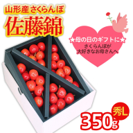 母の日★山形産 さくらんぼ 佐藤錦 Lサイズ 350g クロスバラ詰メッセージ付(5/4〜5/10着) [令和8年産先行予約]FS25-543