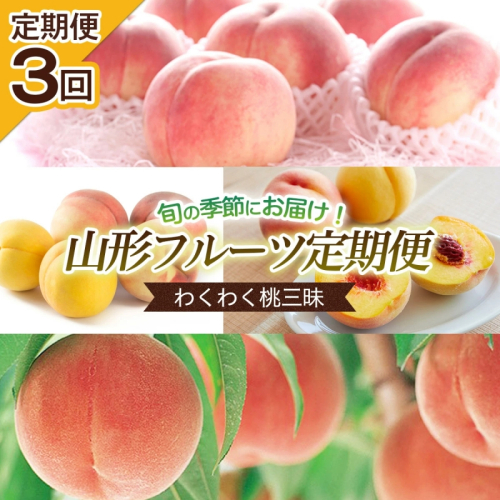 【定期便3回】旬の時期にお届け！わくわく桃三昧定期便 【令和8年産先行予約】FU22-744 157539 - 山形県山形市