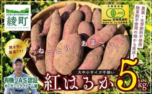 【有機JAS】 紅はるか ５kg さつまいも 甘藷 無農薬 オーガニック 〈サイズ不揃い〉 訳あり 1575488 - 宮崎県綾町