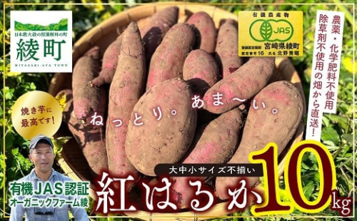 【有機JAS】 紅はるか 10kg さつまいも 甘藷 無農薬 オーガニック 〈サイズ不揃い〉 訳あり 1575711 - 宮崎県綾町