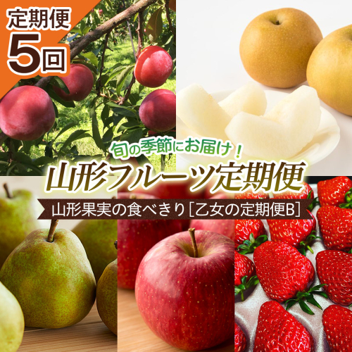【定期便5回】山形果実の食べきり[乙女の定期便B] 【令和8年産先行予約】FU22-949 157585 - 山形県山形市