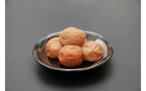 紀州南高梅 紀州極上漬 500g［Kn14］ 157610 - 和歌山県上富田町