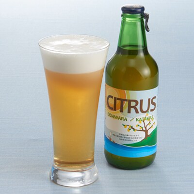 松田町のクラフトビール【CITRUS】330ml×6本 157617 - 神奈川県松田町