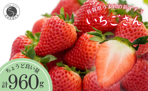 【眺めてうっとり、かじって甘い！】JAの「いちごさん」240g✕4パック【JA伊万里_園芸】いちご イチゴ 苺 いちごさん 果物 4パック 小分け 佐賀 佐賀いちご 甘い 酸味 10000円 1万円 F10-47 157723 - 佐賀県有田町