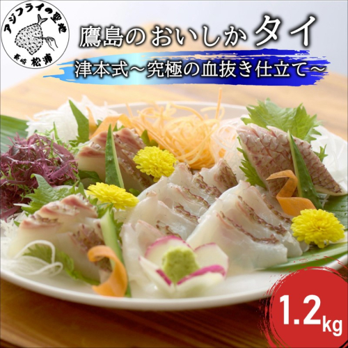 ～津本式・究極の血抜き仕立て～おいしかタイ1.2kg( 松浦 養殖 真鯛 長期熟成 津本式 究極の血抜き 保栄水産 )【B8-045】 157732 - 長崎県松浦市
