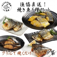 【B0-159】漁協直送！焼き魚5種5袋セット