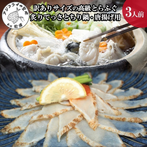 驚きの逸品「訳ありサイズの高級とらふぐ炙りてっさとちり鍋・唐揚げ用」3人前【C9-012】 157747 - 長崎県松浦市