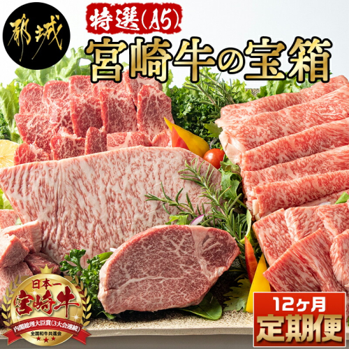 特選(A5)宮崎牛の宝箱 (12ヶ月定期便)_TAH12-0101 157802 - 宮崎県都城市