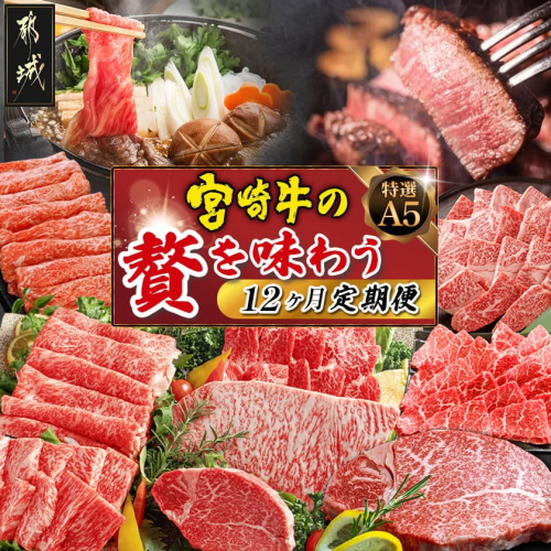 特選(A5)宮崎牛の贅を味わう (12ヶ月定期便)_TAH12-0102 157803 - 宮崎県都城市