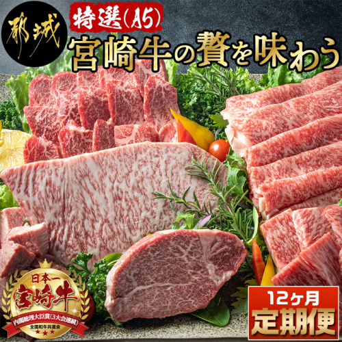特選(A5)宮崎牛の贅を味わう (12ヶ月定期便)_TAH12-0102 157803 - 宮崎県都城市