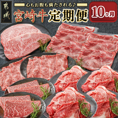 心もお腹も満たされる♪宮崎牛定期便(10ヶ月)_T140-10-6501 1578562 - 宮崎県都城市