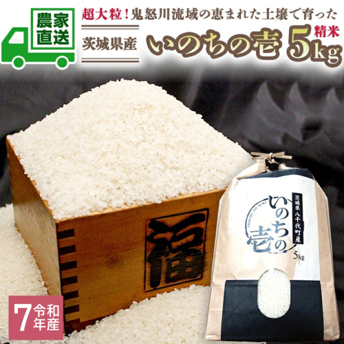 令和7年産 茨城県産 いのちの壱 5kg 玄米 米 こめ コメ 茨城県 国産 いばらき 単一米 単一原料米 大粒 農家直送 [BG014ya] 158046 - 茨城県八千代町