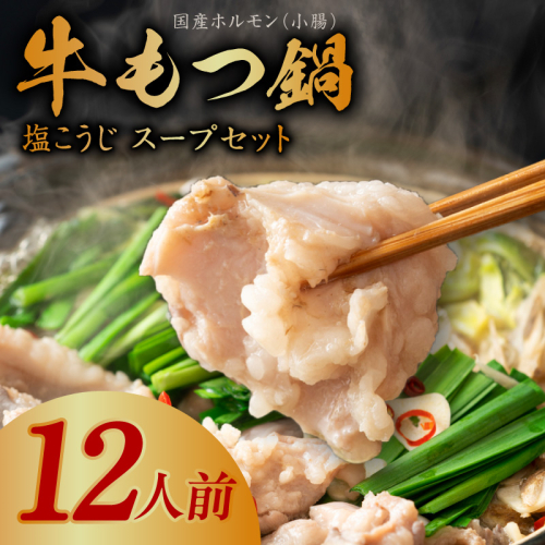 牛もつ鍋セット 12人前【国産 牛肉 ホルモン 塩こうじ スープ付き モツ 鍋 高評価 冷凍 鍋セット 簡単調理】 099H3151 158165 - 大阪府泉佐野市